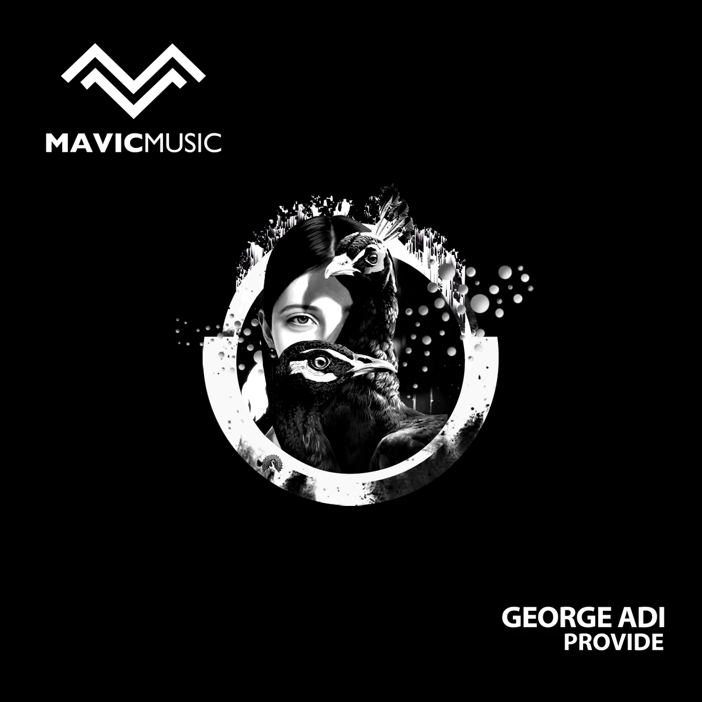 George Adi Provide Mavic Music