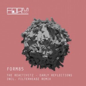 The Reactivitz Early Reflections EP Form